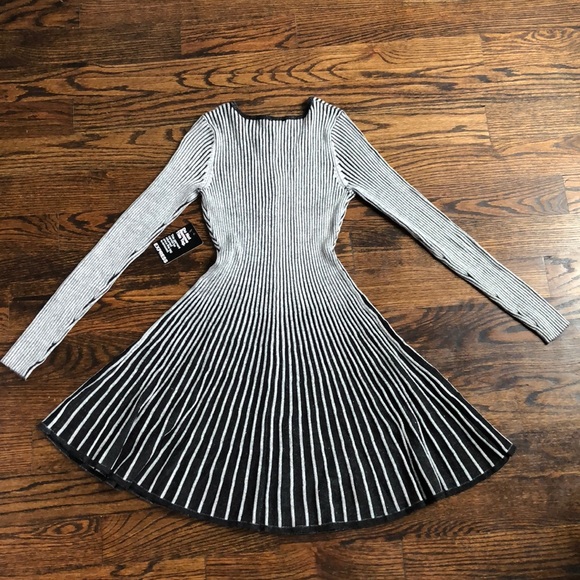 Express Knit Striped Dress - Picture 4 of 4